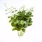 Eucalyptus Greenery 2 bushes Light Green Branches Artificial Wedding Party Home